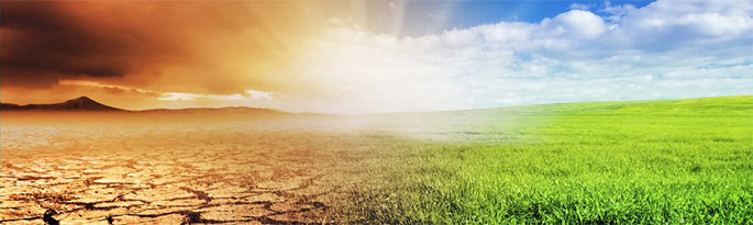 exploitation de la terre ou développement durable