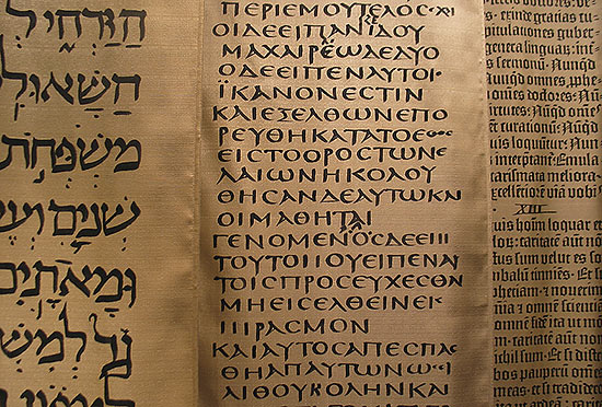 Rouleau de la bible hébraïque présentant côte à côte le texte hébreu, grec et latin